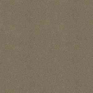 Ковровая плитка Tessera basis pro 4378 malt фото ##numphoto## | FLOORDEALER